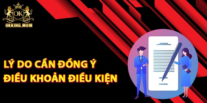 Lý do cần đồng ý điều khoản điều kiện nhà cái Okking